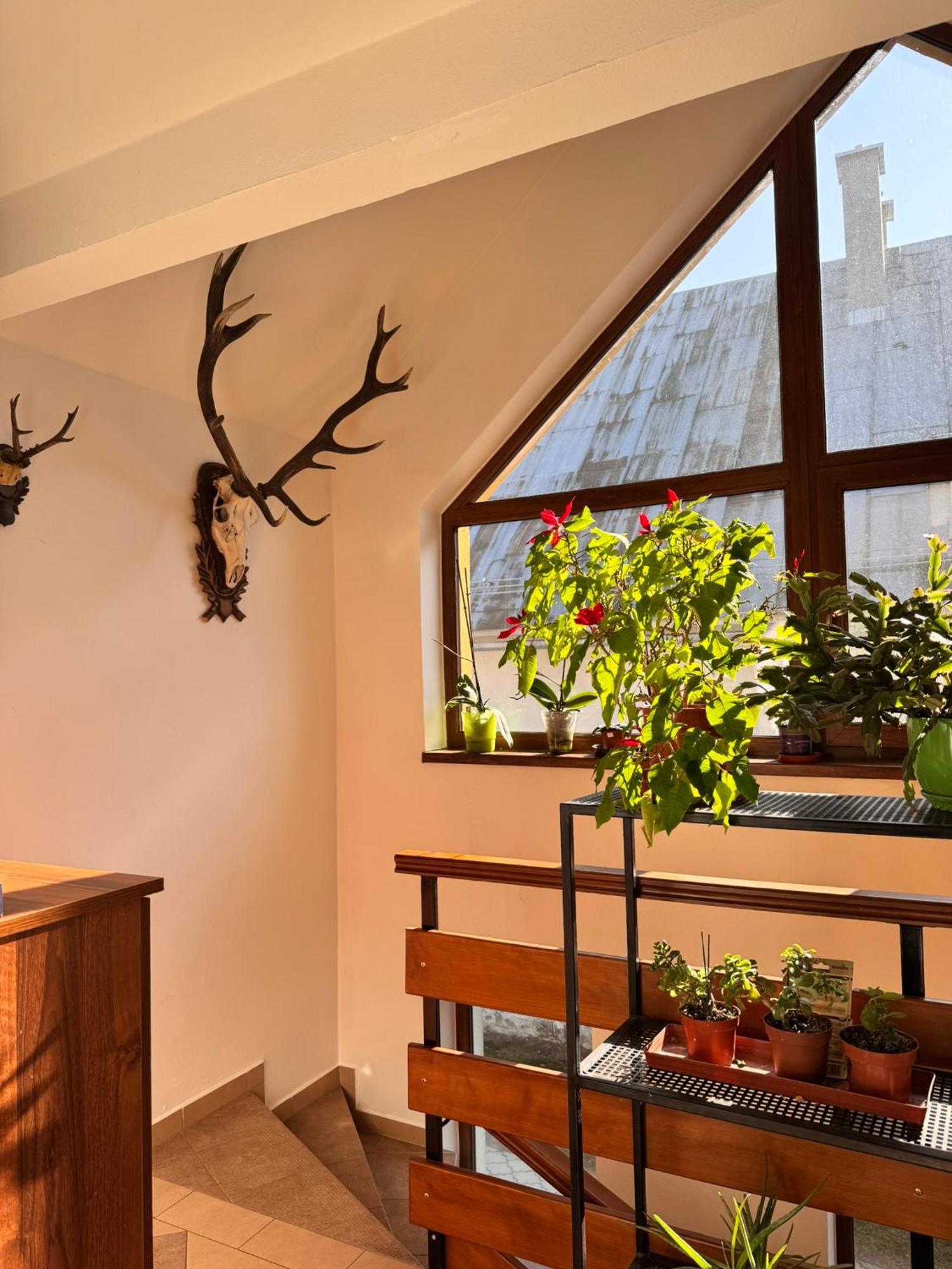 Apartmany Kenka Spisská Stará Ves Exterior foto