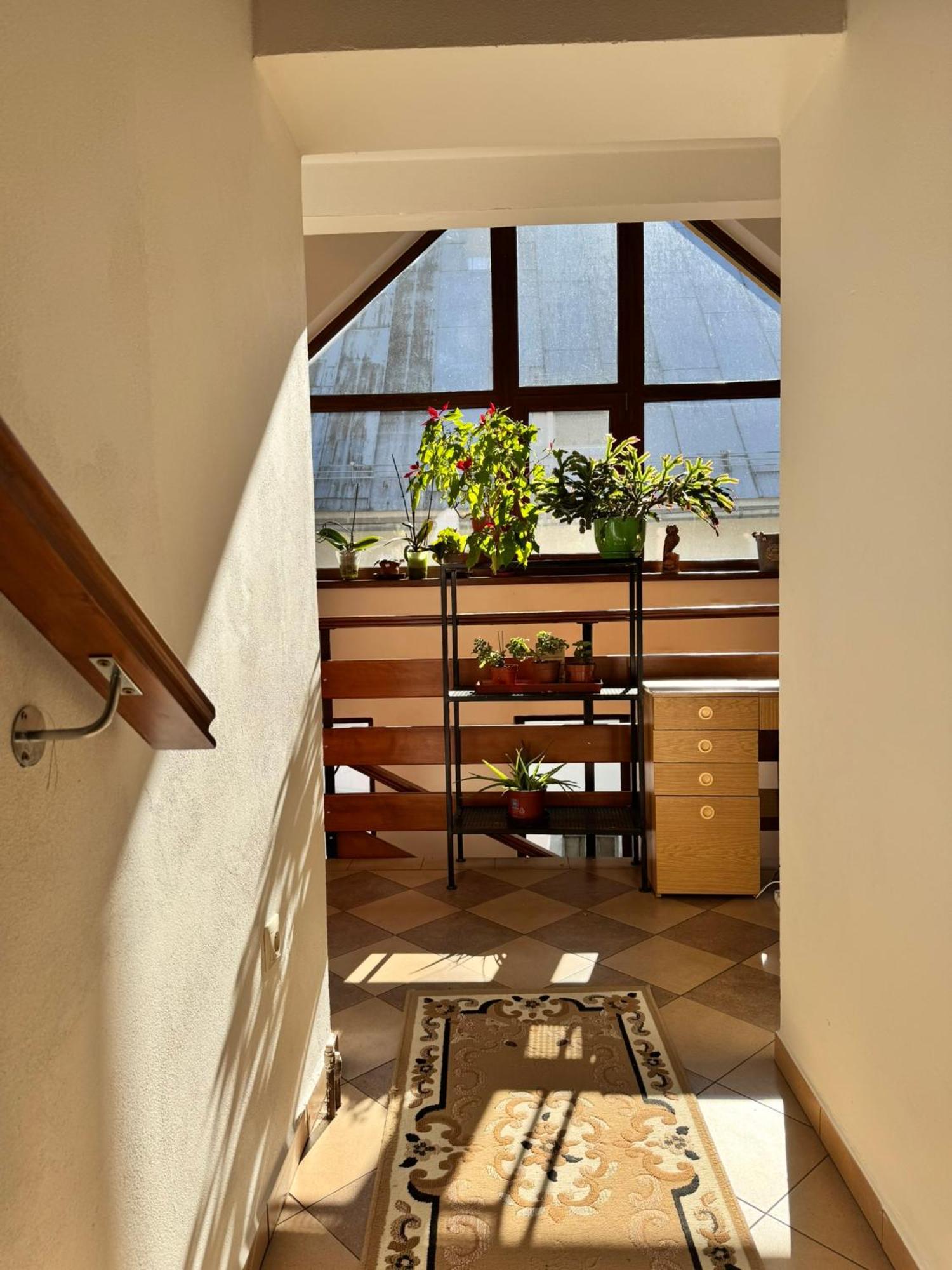 Apartmany Kenka Spisská Stará Ves Exterior foto
